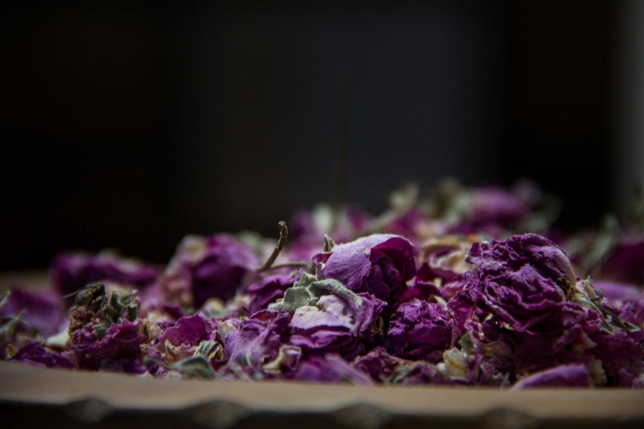 Riad Tama & Spa ワルザザート エクステリア 写真