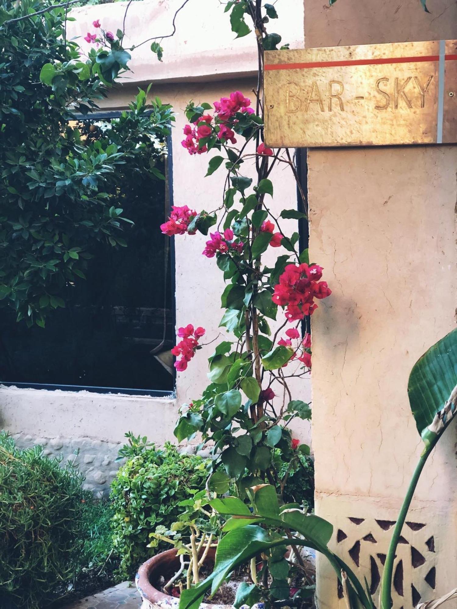 Riad Tama & Spa ワルザザート エクステリア 写真